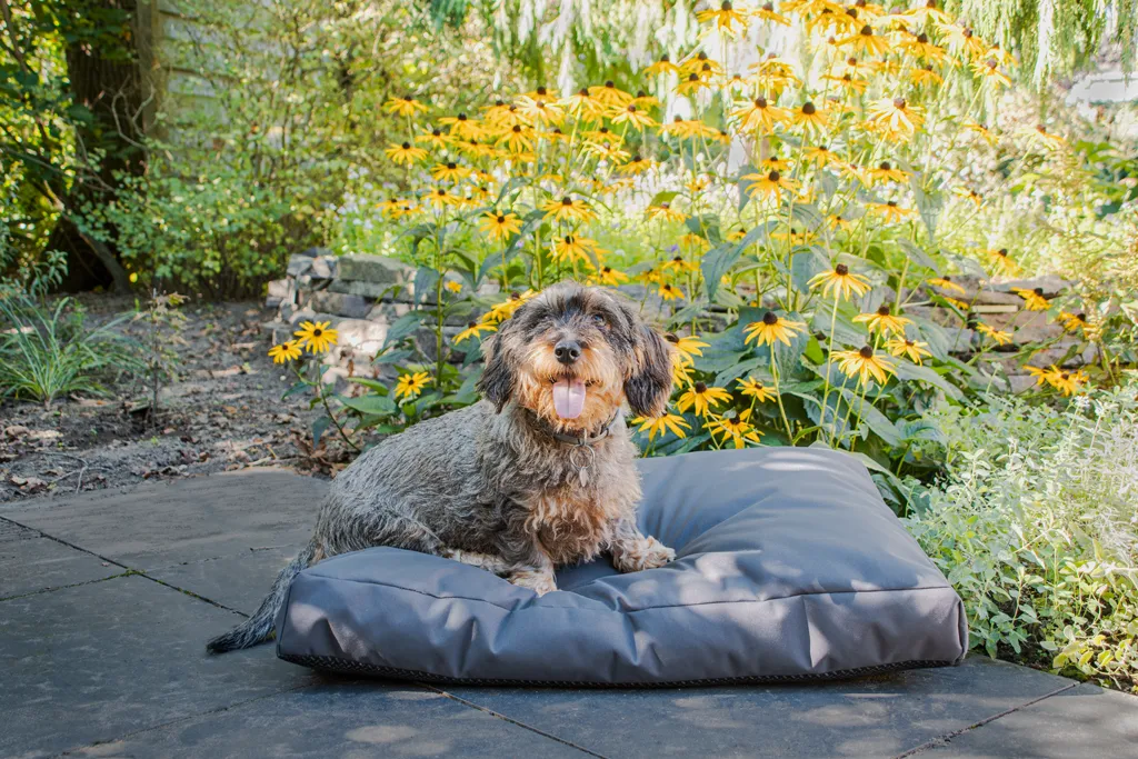 Lets Sleep Cushy Cloud Outdoor Dog Bed Charcoal