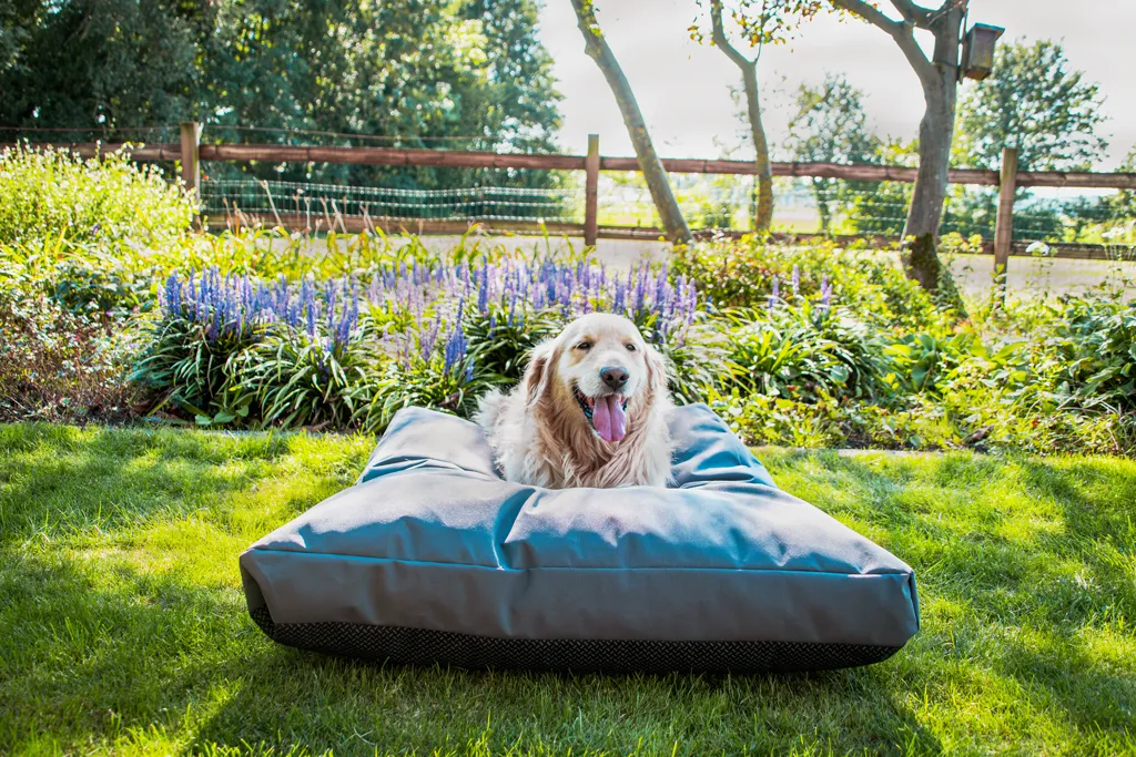 Lets Sleep Cushy Cloud Outdoor Dog Bed Charcoal