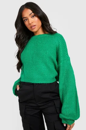 Stylish Petite Crew Neck Long Sleeve Crop Sweater