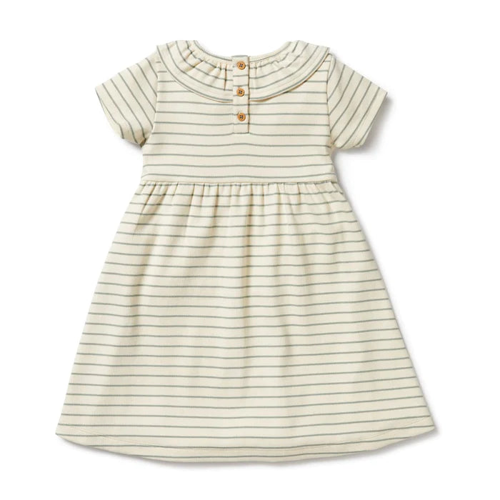 Wilson & Frenchy Petit Sage Ruffle Dress