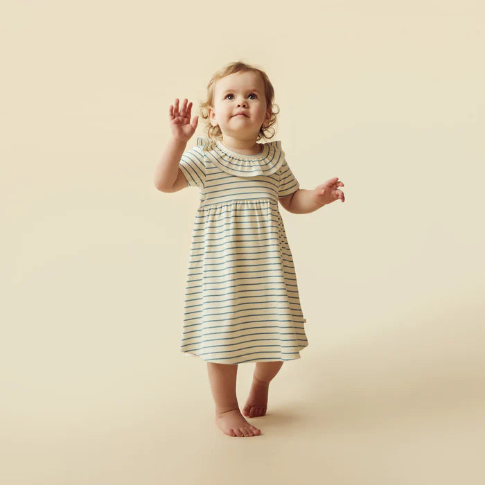 Wilson & Frenchy Petit Sage Ruffle Dress